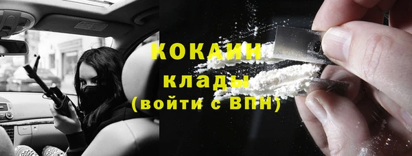 стаф Алексин