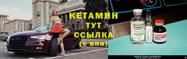 стаф Алексин